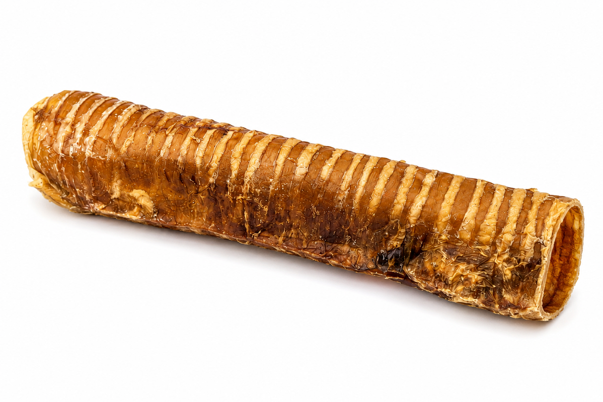 Beef Oesophagus Dog Chews – Natural Long Lasting Treat