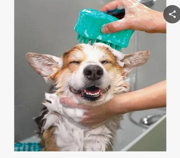 KONG Zoom Groom Multi-Use Brush