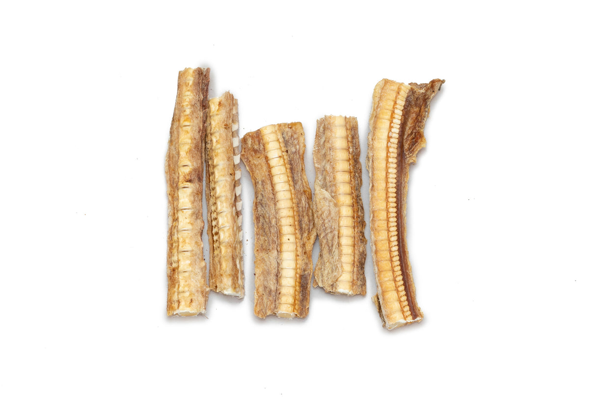 Natural Shark Cartilage Dog Treats - Australian Made Preservative-Free