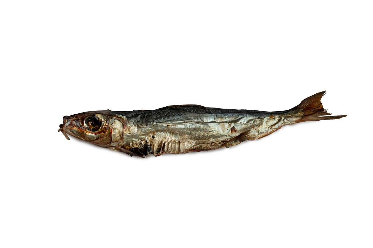 Australian Whole Sardines