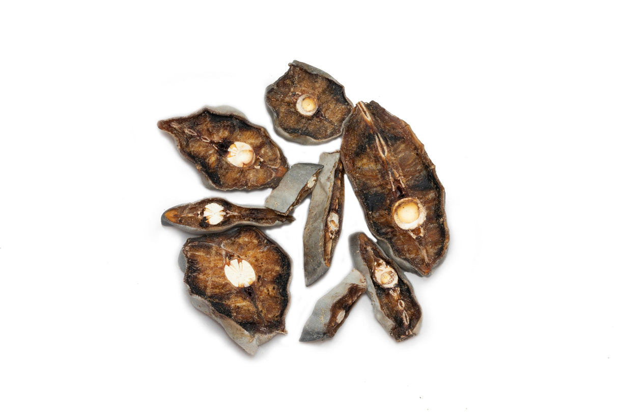 Natural Shark Bites Dog Treats - Australian Made Preservative-Free
