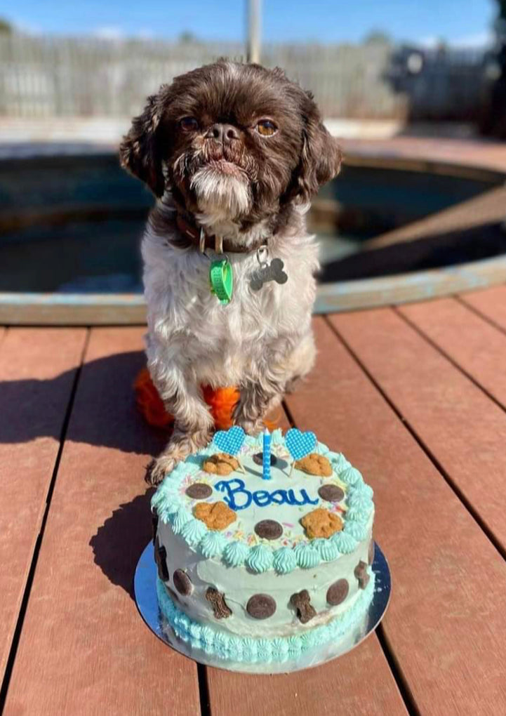 Canine Cakes Your Dog Will Love for Their Next Birthday Party