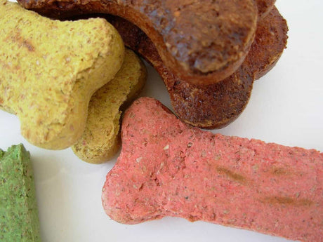 Why Hemp Dog Biscuits are Perfect for Your Pup's Wellness Routine
