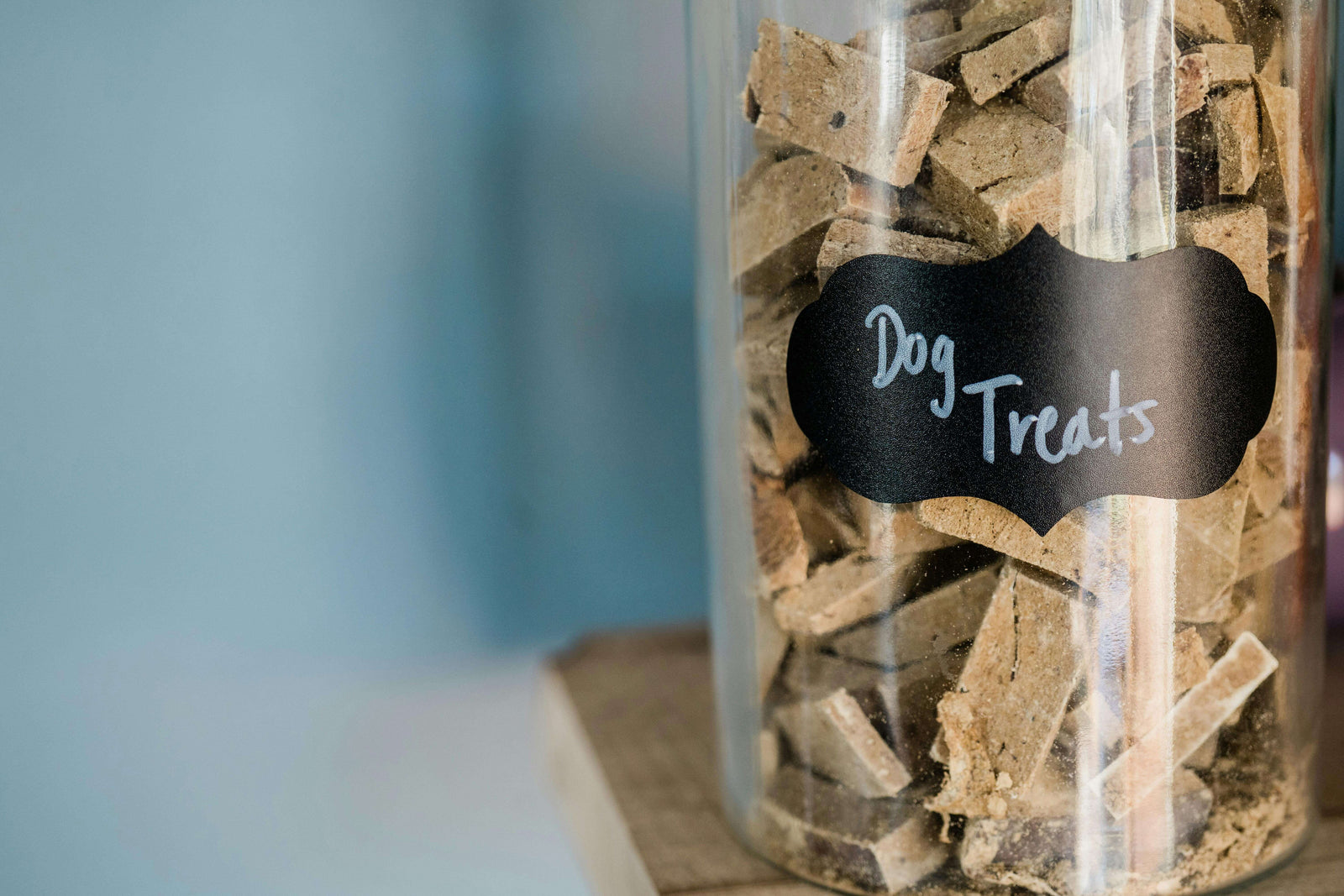 The Ultimate Guide to Pet Treat Storage | Charlie and Mia's Barkery