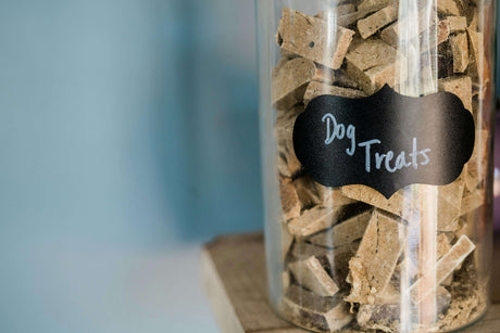 The Ultimate Guide to Pet Treat Storage | Charlie and Mia's Barkery