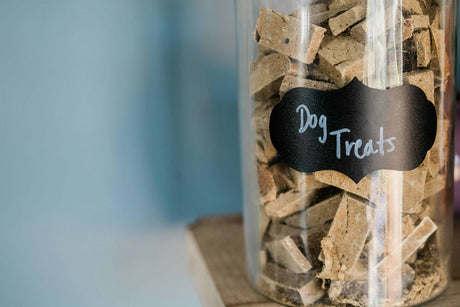 Are Beef Dog Treats Good for Dogs? Benefits & What to Look For