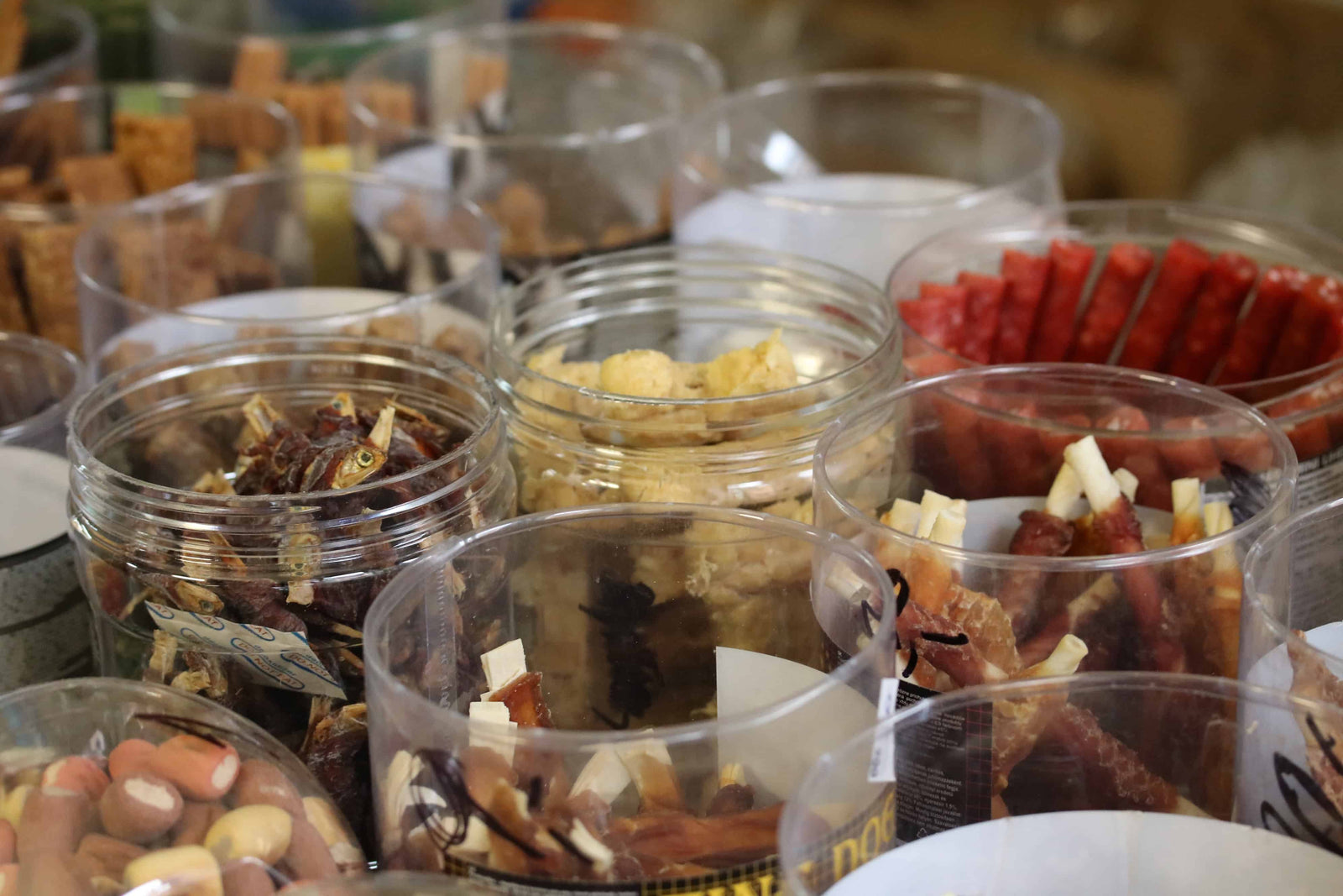 The Ultimate Guide to Pet Stores in Toowoomba QLD for Dog Owners