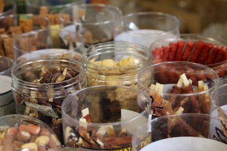 The Ultimate Guide to Pet Stores in Toowoomba QLD for Dog Owners