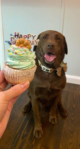 Doggie Birthday Cakes | Pupcakes