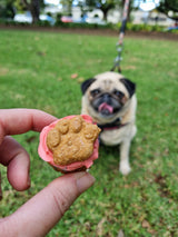 Doggie Birthday Cakes | Pupcakes