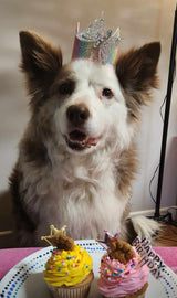 Handmade Doggy Pupcakes | Charlie & Mia's Barkery