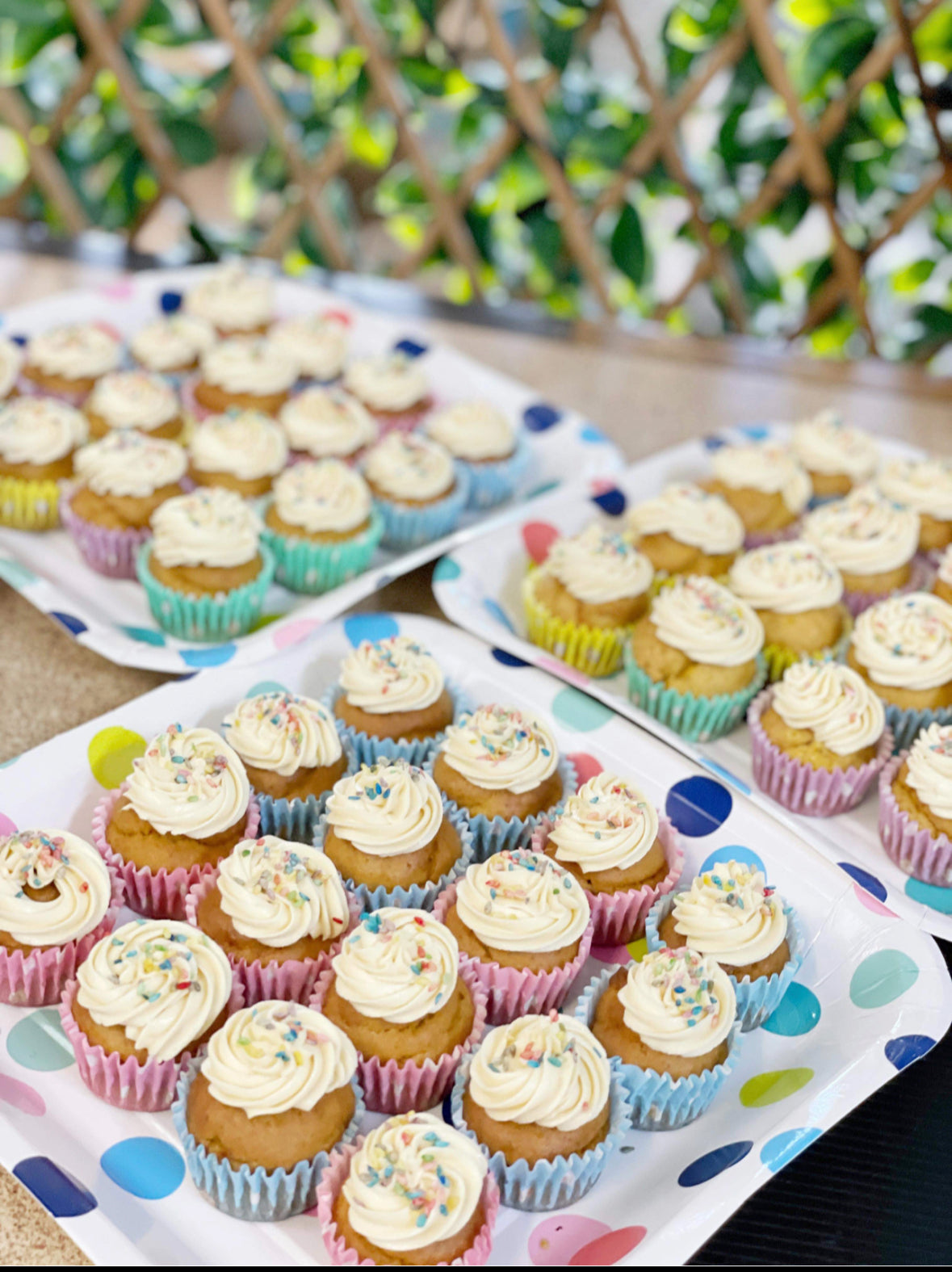 Handmade Doggy Pupcakes | Charlie & Mia's Barkery