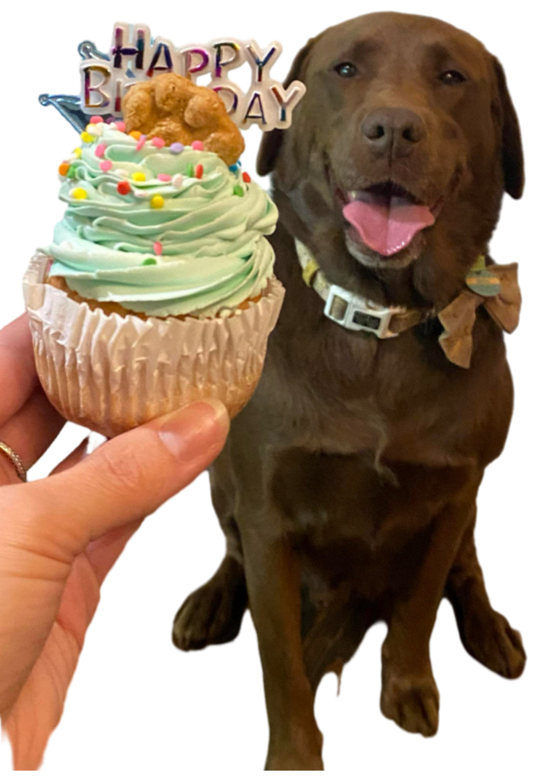 Handmade Doggy Pupcakes | Charlie & Mia's Barkery
