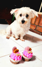 Handmade Doggy Pupcakes | Charlie & Mia's Barkery
