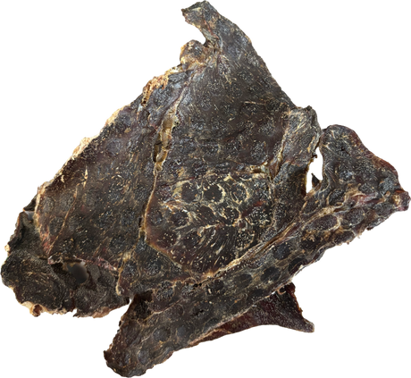 Kangaroo Jerky - Premium Australian Natural Dog Chews