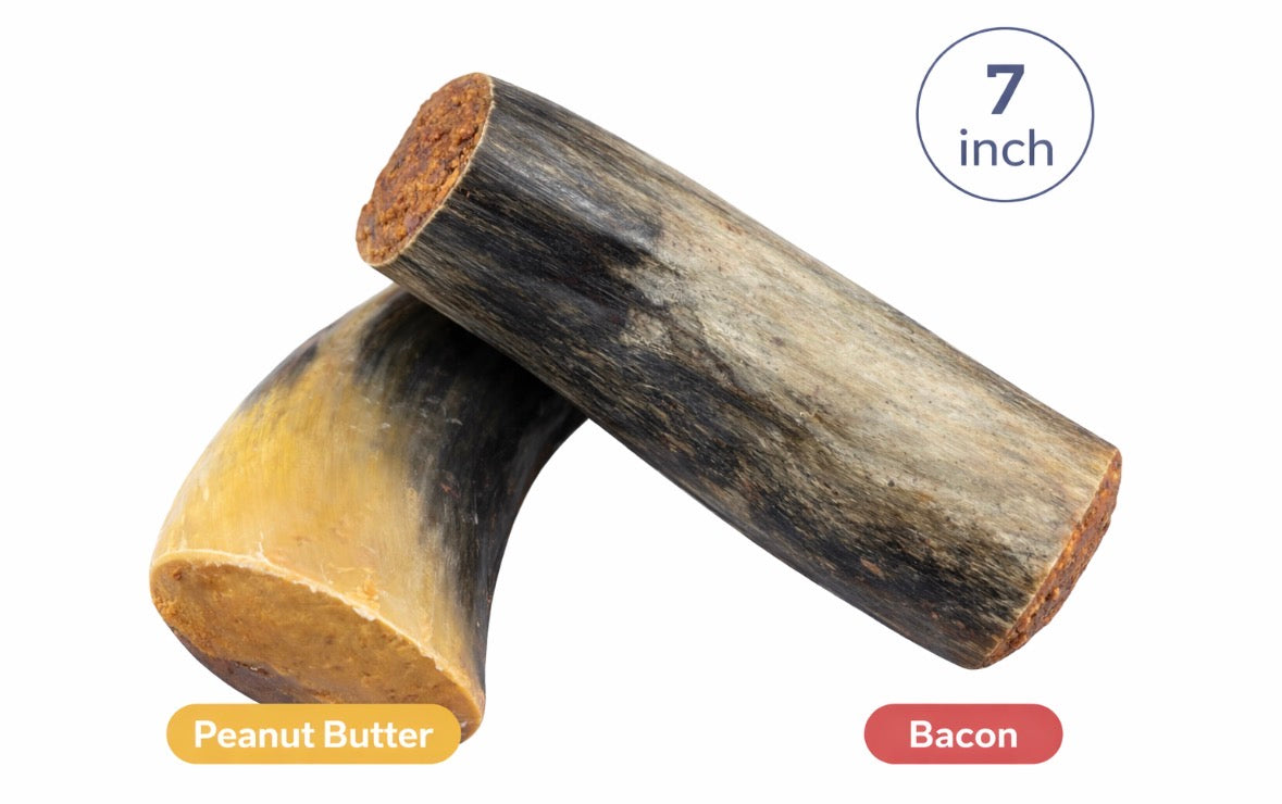 Filled Cow Horns (7”) – Peanut Butter or Bacon
