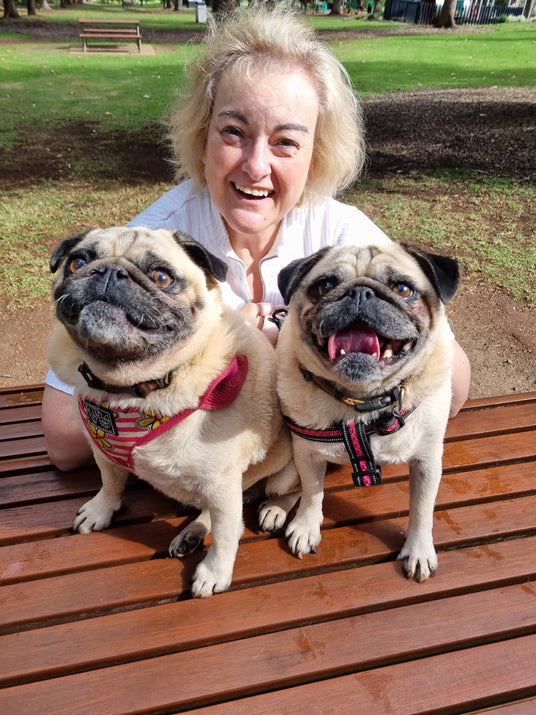 Rita Faulks with her pugs Charlie and Mia from Charlie and Mia's Barkery