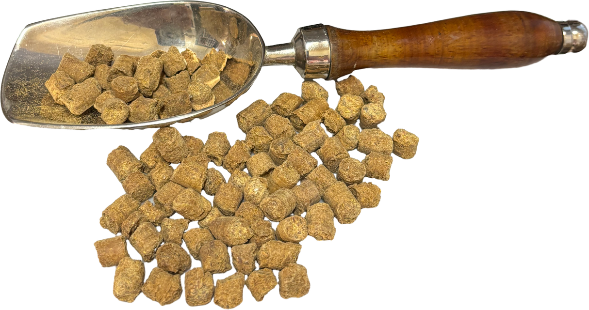 Sardine & Pumpkin Training Treats - Premium Australian Natural Dog Training Rewards