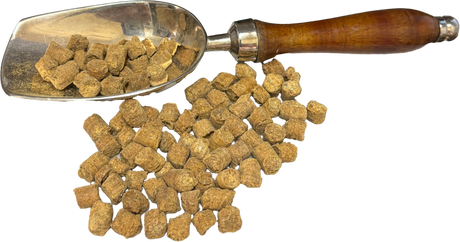 Sardine & Pumpkin Training Treats - Premium Australian Natural Dog Training Rewards