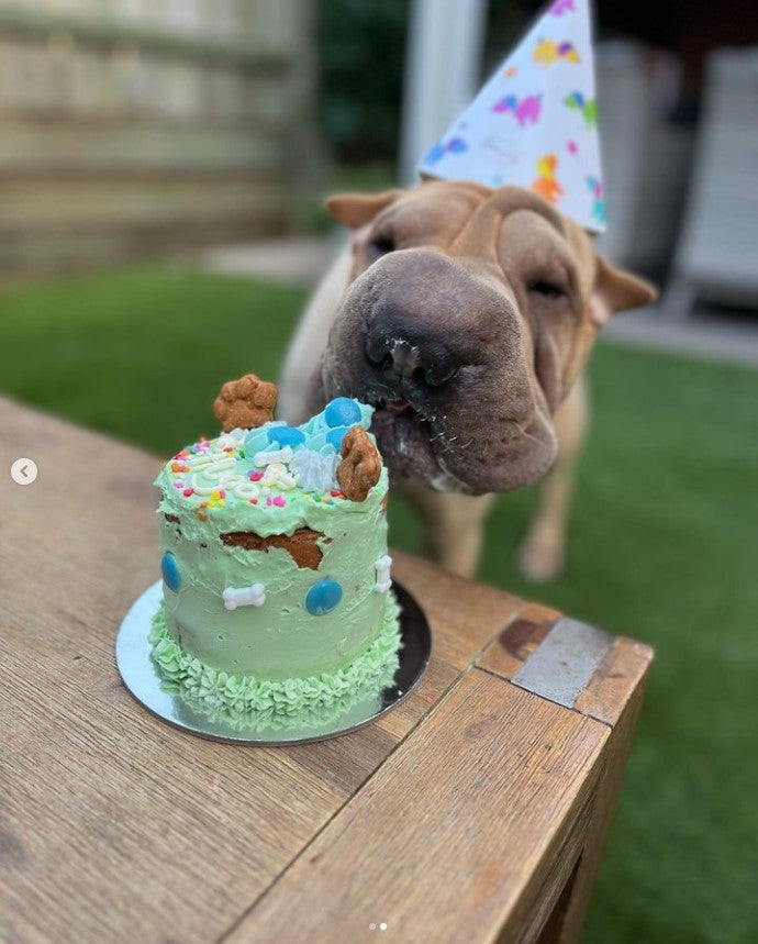 Doggie Birthday Cakes | Pupcakes