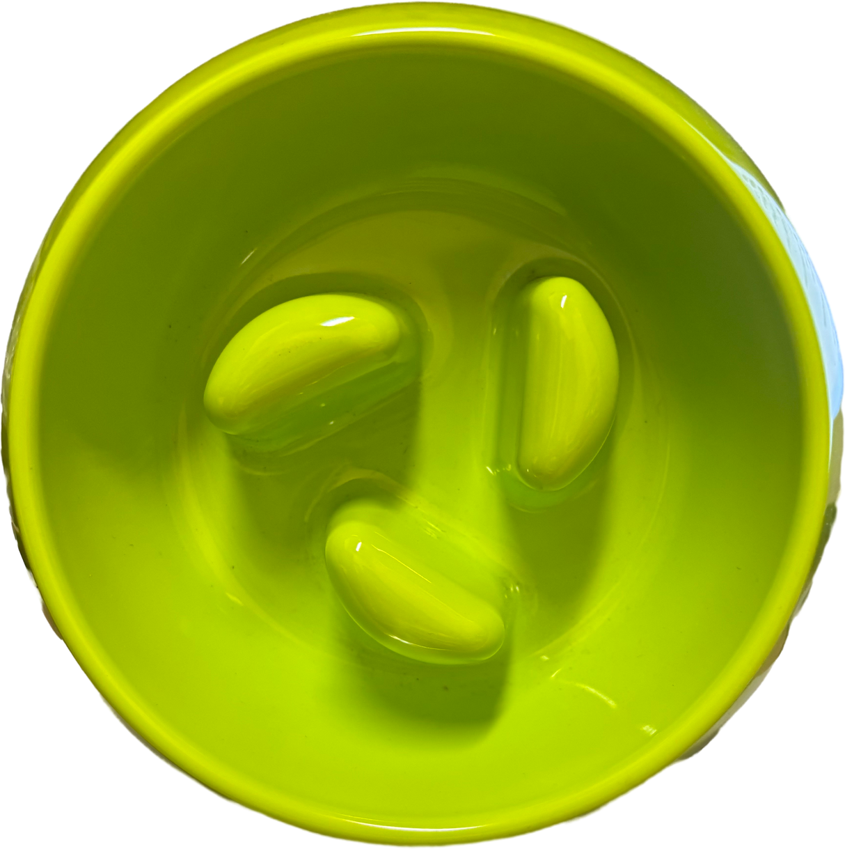 SCREAM 200ml Slow Feeder Bowl - Interactive Feeding Solution