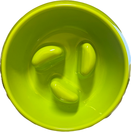 SCREAM 200ml Slow Feeder Bowl - Interactive Feeding Solution
