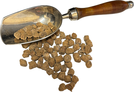 Australian Sardine Training Treats 200g - Premium Natural Dog Training Rewards