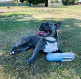 The Park Bottle - Travel Dog Water Bowl