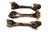 Kangaroo Leg Bones