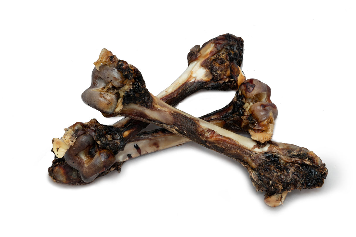 Kangaroo Leg Bones