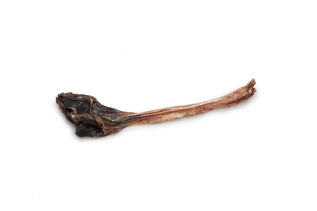 Kangaroo Tendons